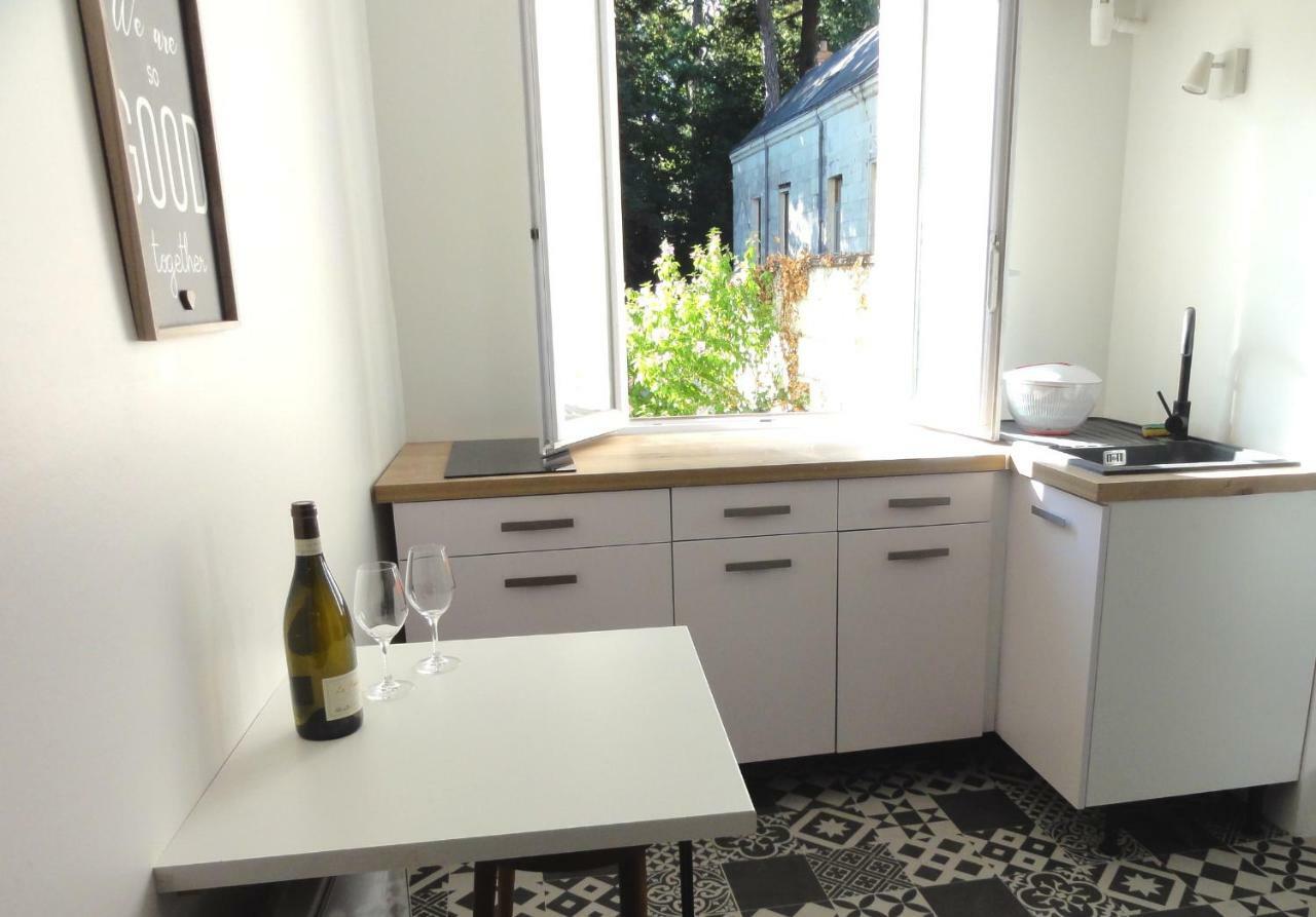 Apartment L'etoile Loire, Centre Avec Jardin
